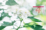 2022年4月日历壁纸