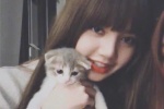 Lisa's cute girly avatar
