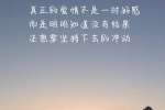 真正的爱情不是一时好感，而是明明知道没有结果，还要坚持下去的冲动