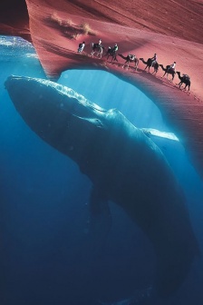 創意壯觀的自然美景壁紙