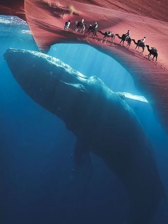 創意壯觀的自然美景壁紙