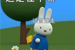 很可愛米菲兔表情包圖片