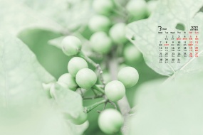 March 2022 eye-protecting green plants scenery desktop calendar wallpaper