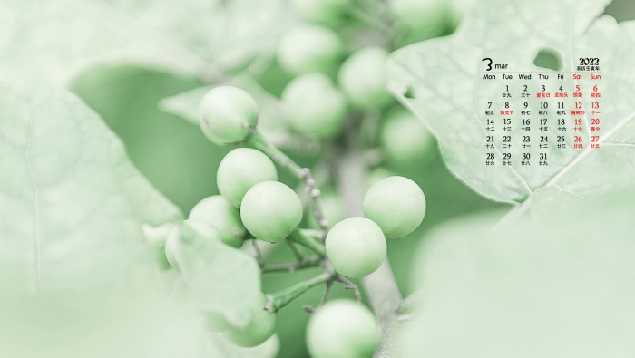 March 2022 eye-protecting green plants scenery desktop calendar wallpaper
