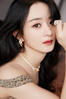 Zhao Liying sexy photo in leopard print tube top dress