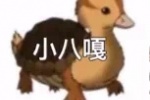 小八表情包