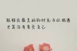 能够在最美好的时光与你相遇，才算没有辜负自己