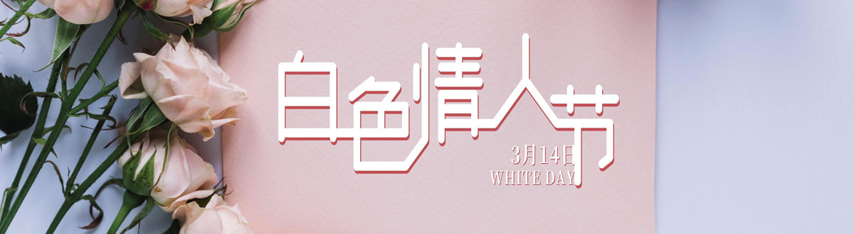 白色情人节壁纸大全