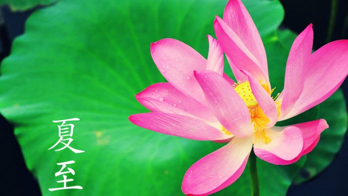 Twenty-Four Solar Terms Summer Solstice Pictures Desktop Wallpaper