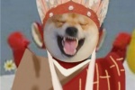 Shiba Inu version of New Journey to the West funny emoticon pictures