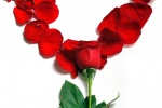 Chinese Valentine's Day love theme mobile wallpaper