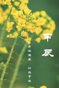 Jiachen month prosperous HD mobile wallpaper