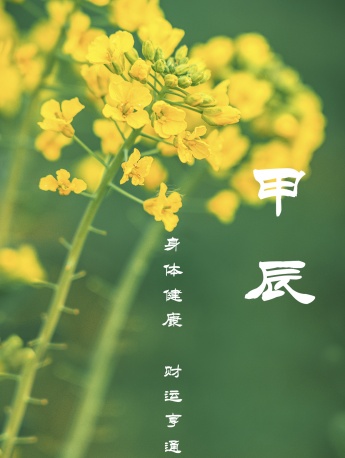 甲辰月旺運高清手機壁紙