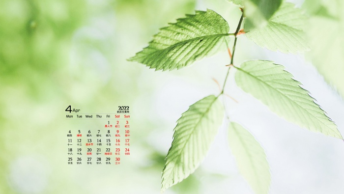 April 2022 green eye-protecting fresh computer calendar wallpaper
