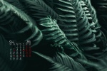 2021年9月翠绿色植物电脑日历壁纸