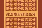 政治高分