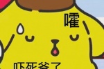 布丁狗笑死爷了表情包