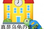 真实乌龟办走读鳖不住校了