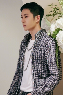 Wang Yibo's handsome photo pictures of plaid tweed jacket