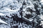 Jiangnan snow scene picture desktop wallpaper at the beginning of winter