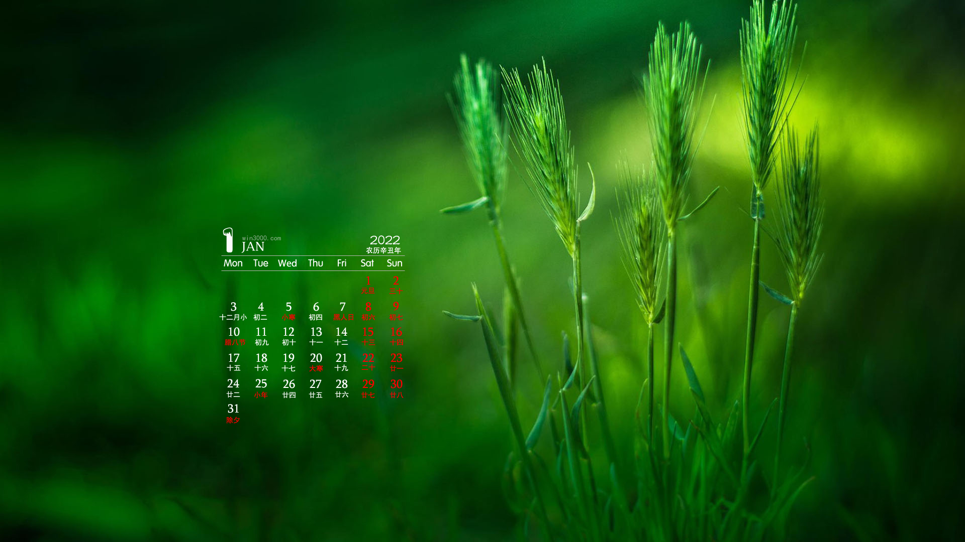 2022年1月护眼绿色植物日历壁纸