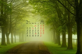 July 2021 green fresh computer calendar wallpaper
