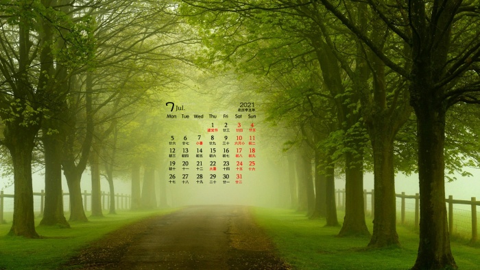 July 2021 green fresh computer calendar wallpaper