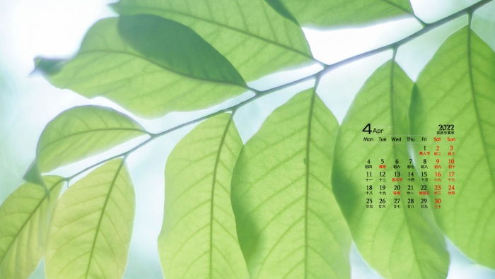 Simple and fresh landscape calendar wallpaper for April 2022