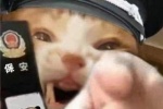 Kitten police funny emoticon picture