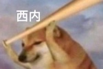 西内表情包集锦