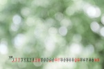 2021年10月绿色风景桌面日历壁纸图片