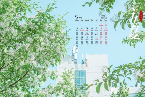 May 2021 Beginning of Summer solar term computer calendar wallpaper