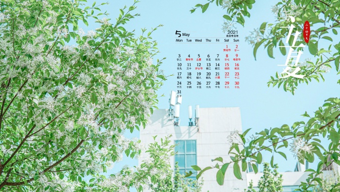 May 2021 Beginning of Summer solar term computer calendar wallpaper