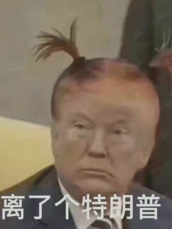 Leave a Trump emoticon