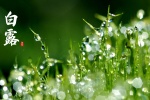 White dew fresh eye protection scenery desktop wallpaper