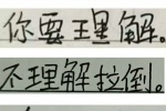 我不理解。你能理解吗？你要理解。不理解拉到。爱解不解。真不理解。