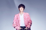 Wang Yuan computer desktop wallpaper pictures