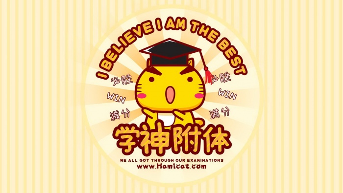 爱学习的哈咪猫电脑壁纸图片
