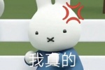 Summary of Miffy Rabbit themed expression packs