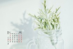 February 2022 fresh and simple desktop calendar wallpaper