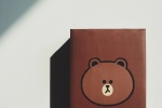 Partial details of the Li-Ning co-branded Brown Bear
