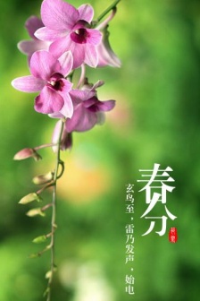 Vernal Equinox Pictures 24 Solar Terms Vernal Equinox Pictures