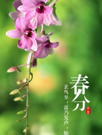 Vernal Equinox Pictures 24 Solar Terms Vernal Equinox Pictures