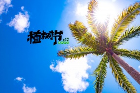 Plant Festival Beautiful Scenery Pictures Desktop Wallpaper