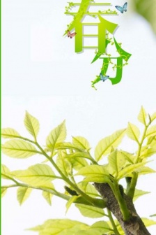 Solar terms and vernal equinox pictures HD vernal equinox material pictures