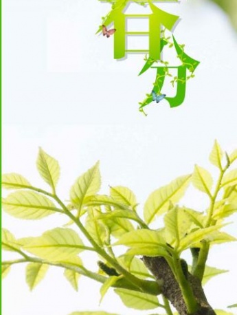 节气春分图片 高清春分素材图片