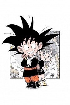 Anime Dragon Ball illustration pictures mobile wallpaper