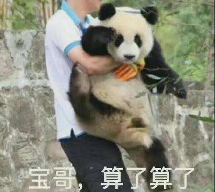 熊猫可爱表情包