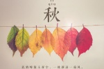 节气立秋手机壁纸图片