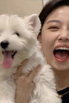 An avatar suitable for a shit shovel officer